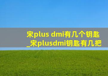 宋plus dmi有几个钥匙_宋plusdmi钥匙有几把